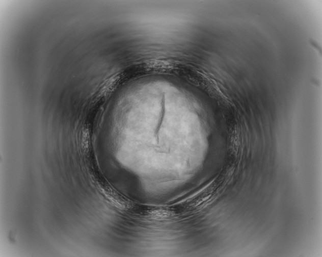 X0000094420708200711291550