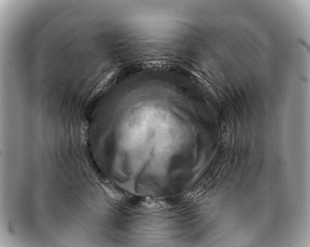 X0000094420712200711291550