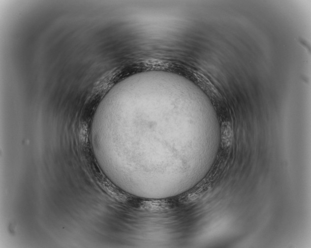 X0000094420713200711291550