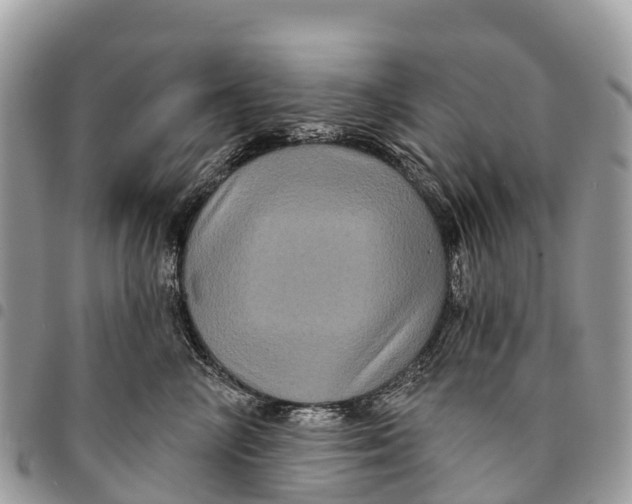 X0000094420714200711291549