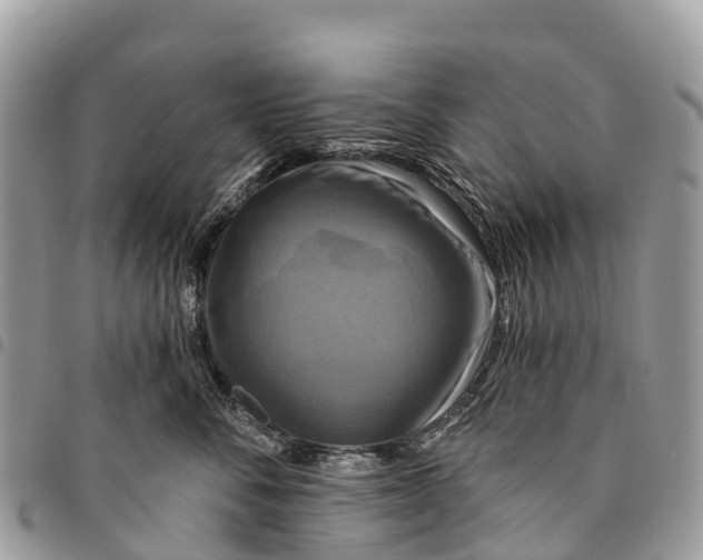 X0000094420716200711291549