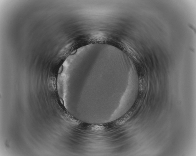 X0000094420718200711291549