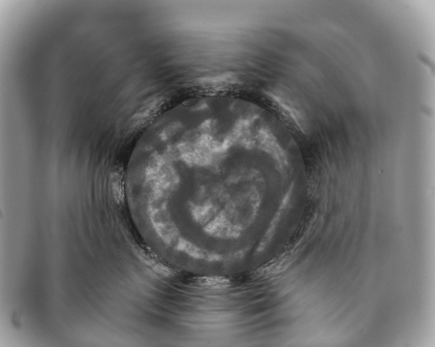 X0000094420719200711291549