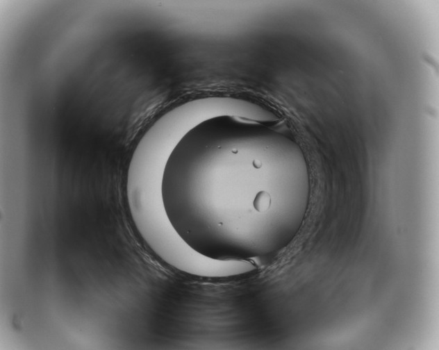 X0000094420720200711291549