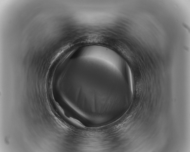 X0000094420722200711291549