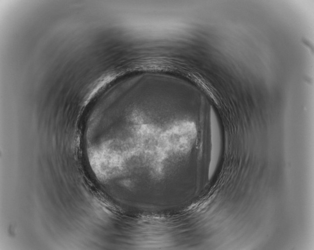 X0000094420723200711291549