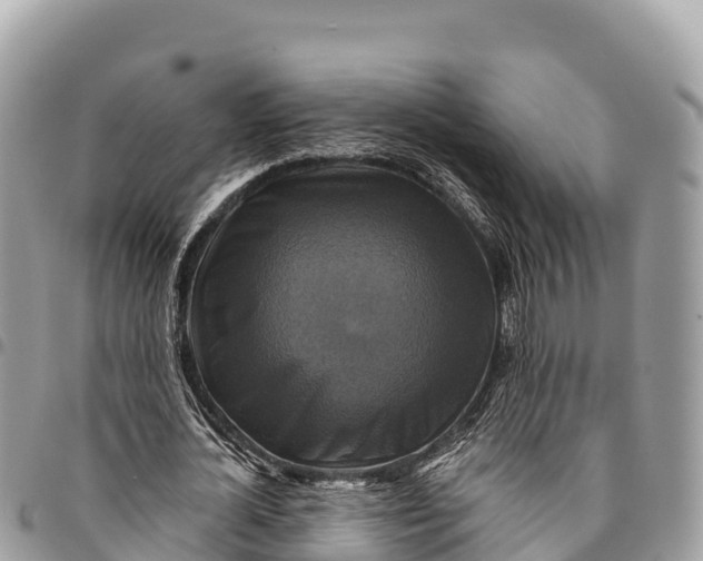 X0000094420724200711291549