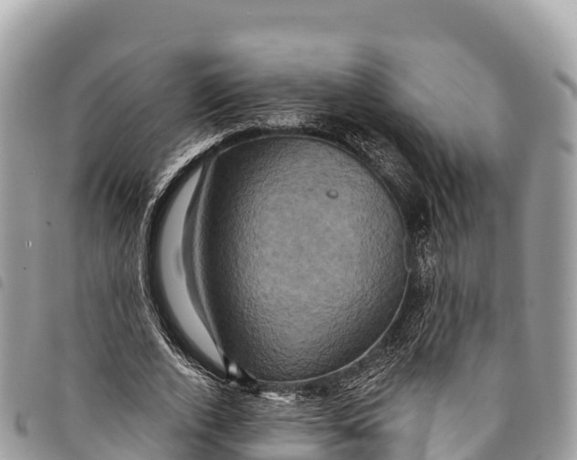 X0000094420728200711291549