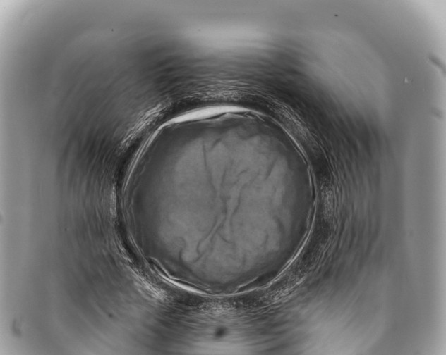 X0000094420729200711291549