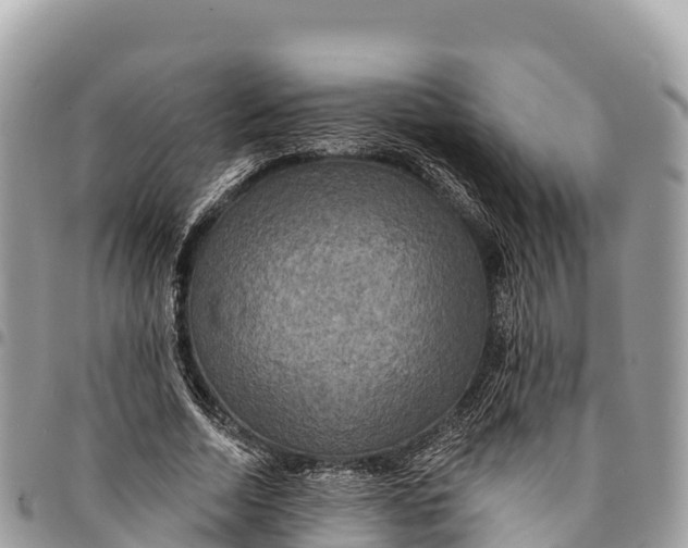 X0000094420730200711291549