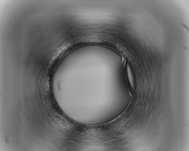 X0000094420731200711291549