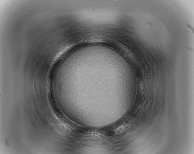 X0000094420732200711291549