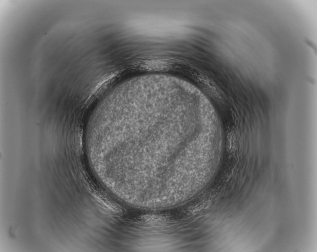 X0000094420733200711291549