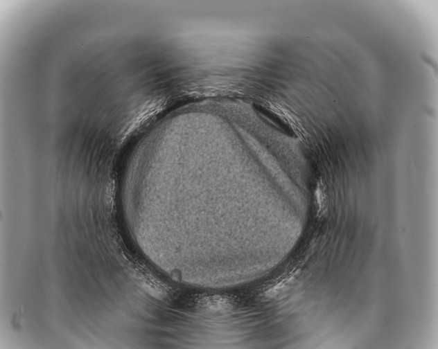 X0000094420735200711291549