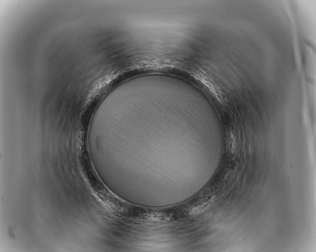 X0000094420736200711291549