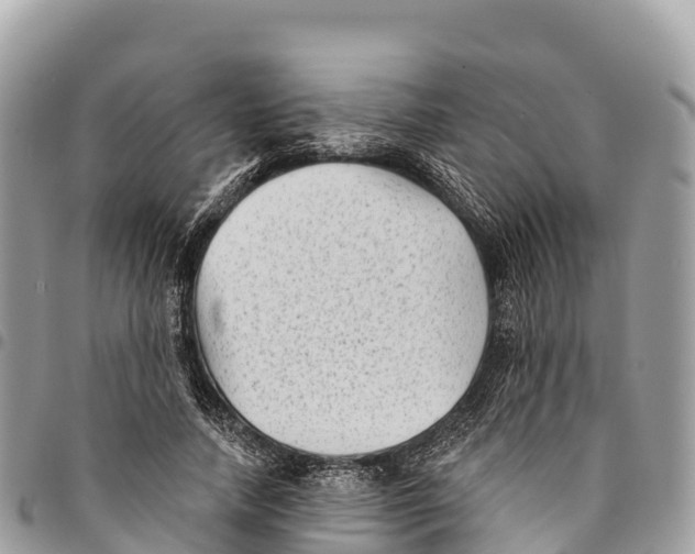 X0000094420738200711291549