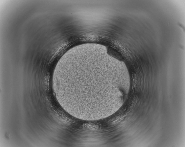 X0000094420739200711291549