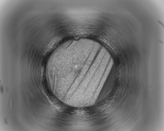 X0000094420742200711291549