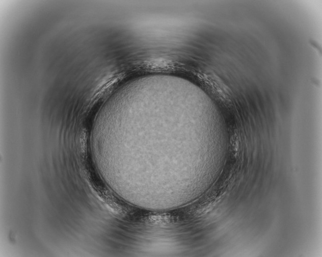 X0000094420744200711291549