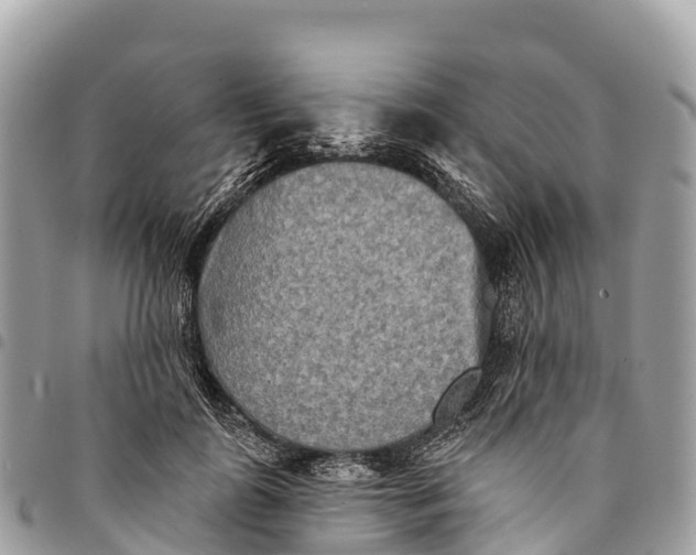 X0000094420747200711291549