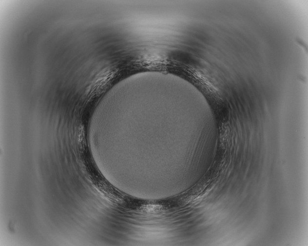 X0000094420748200711291549