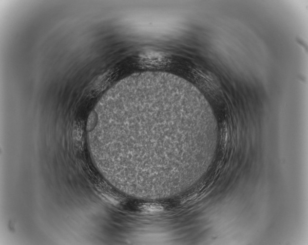 X0000094420749200711291549