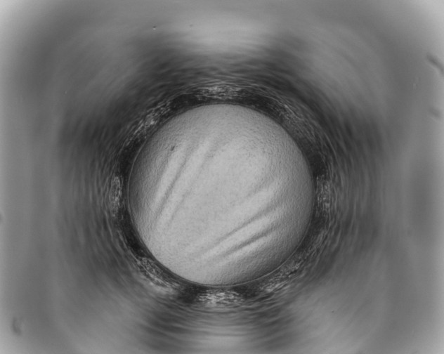 X0000094420752200711291549