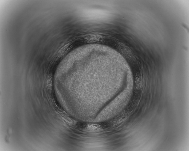 X0000094420753200711291549