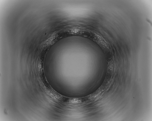 X0000094420754200711291549