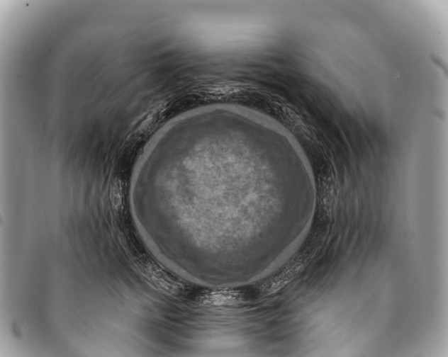 X0000094420758200711291549