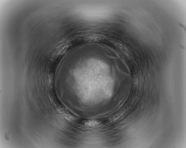 X0000094420759200711291549