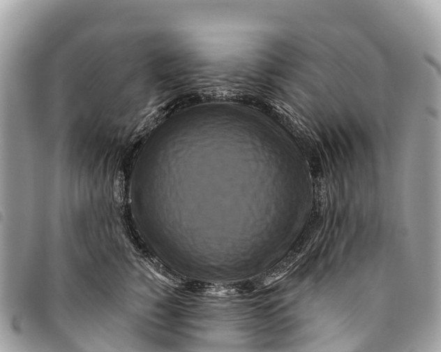 X0000094420760200711291549