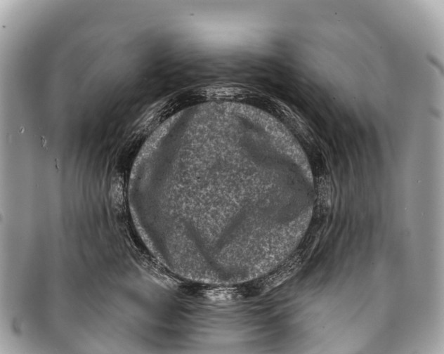 X0000094420761200711291549