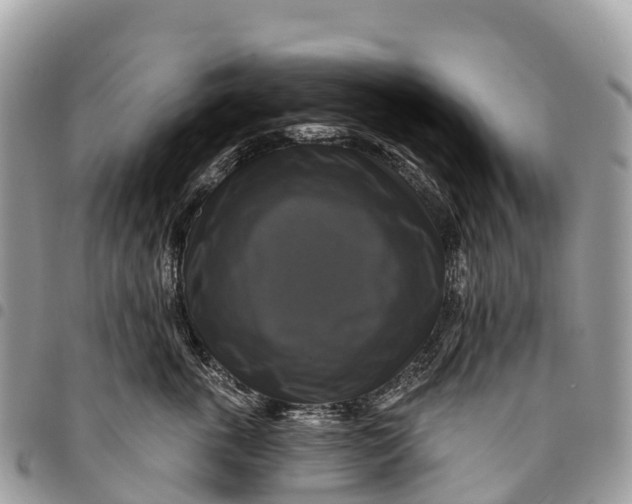 X0000094420763200711291549