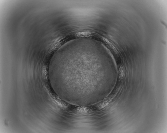 X0000094420764200711291549