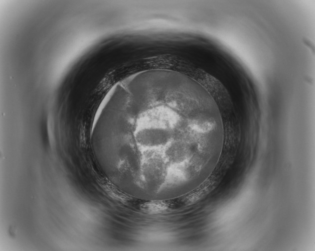 X0000094420765200711291549