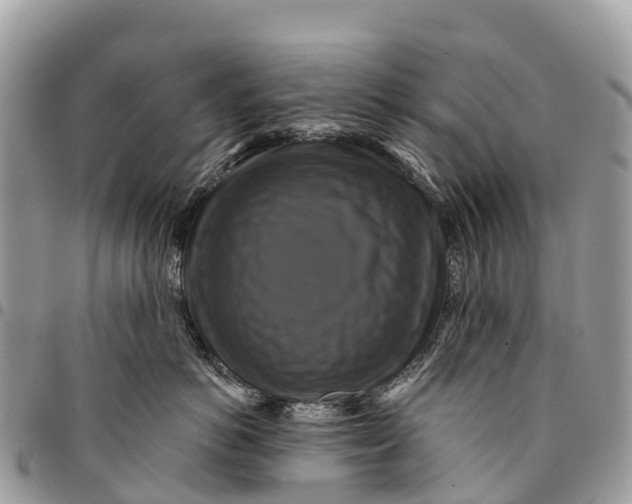 X0000094420766200711291549