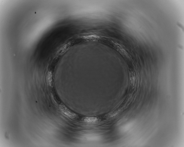 X0000094420767200711291549