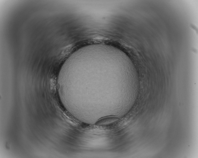 X0000094420768200711291549