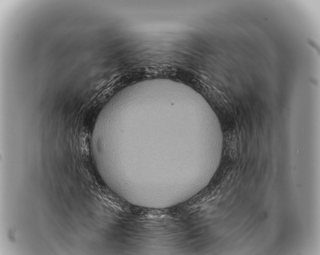 X0000094420770200711291549