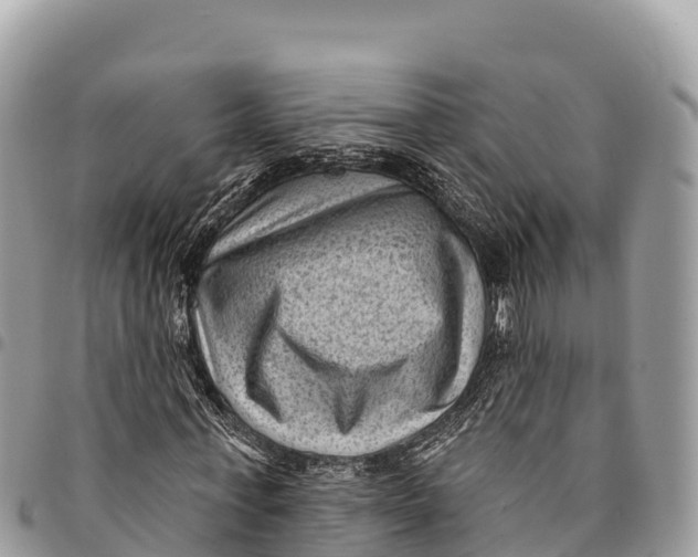 X0000094420771200711291549