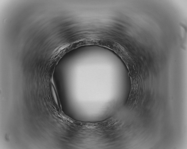 X0000094420773200711291549