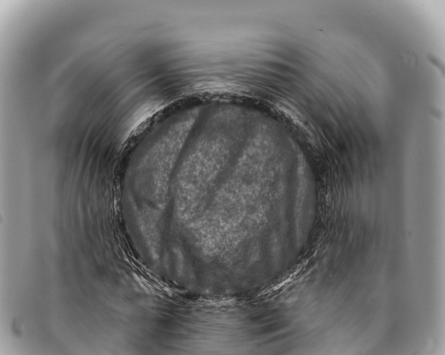 X0000094420775200711291548