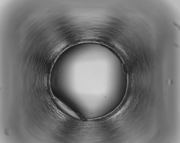 X0000094420777200711291548