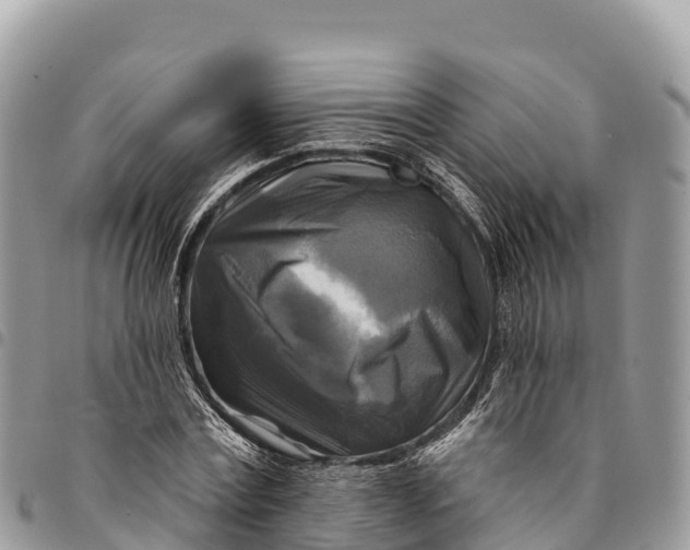 X0000094420779200711291548