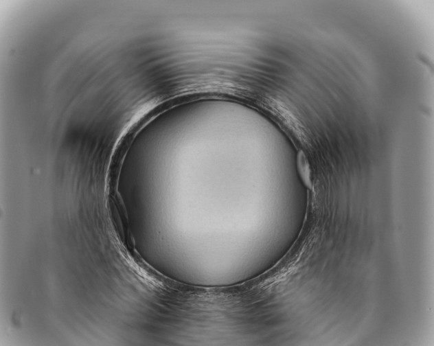 X0000094420780200711291548