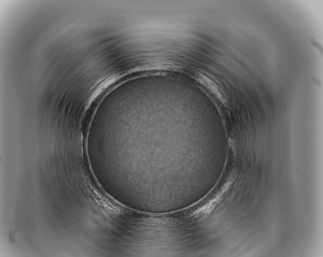 X0000094420781200711291548