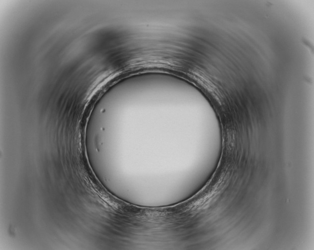 X0000094420782200711291548