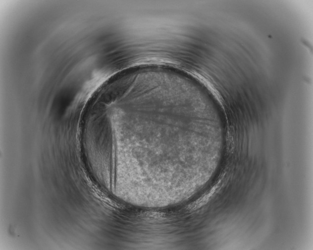 X0000094420783200711291548