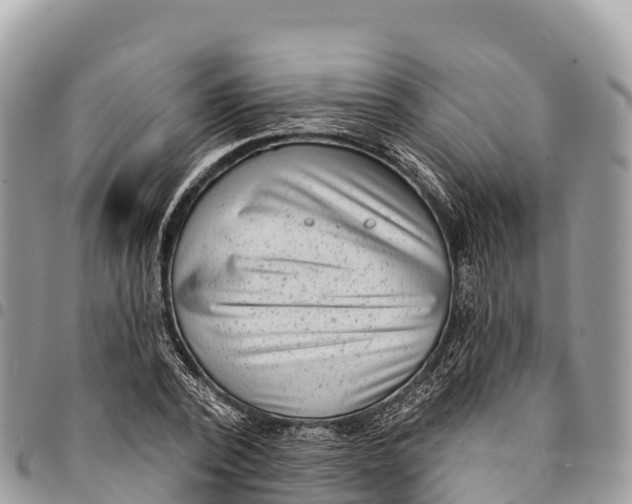 X0000094420784200711291548